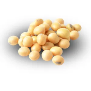 Soy Protein