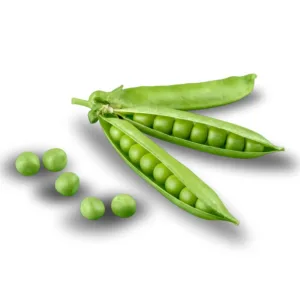 Pea Protein