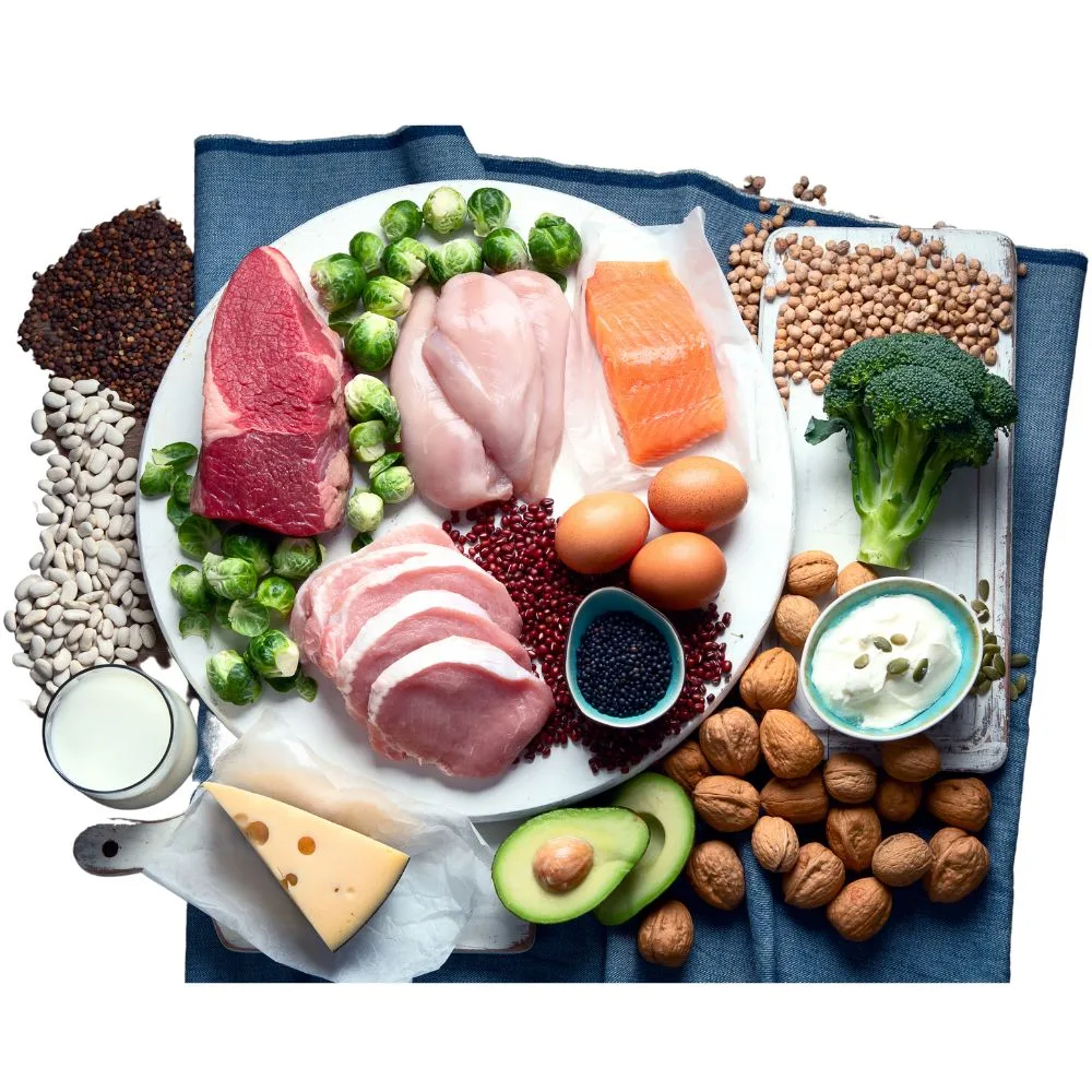 High Protein Foods